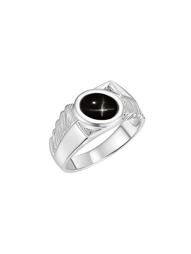 Rylos Men's Rings 14K White Gold - Black Star Sapphire & Diamond Ring Band Rings For Men Mens Jewelry Gold Rings Size 10