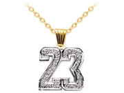 Rylos Necklaces For Women Gold Necklaces for Women & Men 925 Sterling Silver or Yellow Gold Plated Silver Personalized Diamond Number Plate Necklace Special Order, Made to Order Necklace